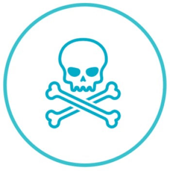 lead-paint-removal